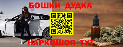 молекула духа Будённовск