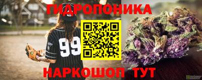 молекула духа Будённовск