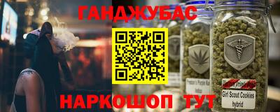 молекула духа Будённовск