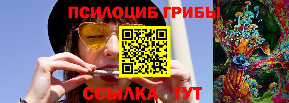 Псилоцибиновые грибы мухоморы  продажа наркотиков  Нововоронеж  Вход с VPN 