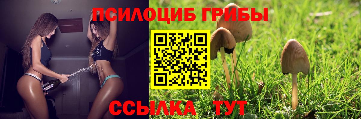 Галлюциногенные грибы MAGIC MUSHROOMS Нововоронеж